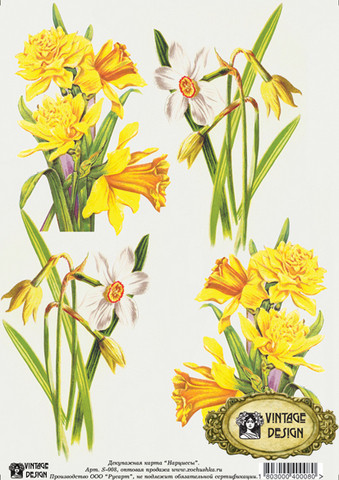 large_import_files_d1_d1582722-37eb-11e2-a0d4-ccda1151ce8a_a95a91ed-37f0-11e2-a0d4-ccda1151ce8a.jpeg large_import_files_d1_d1582722-37eb-11e2-a0d4-ccda1151ce8a_a95a91ed-37f0-11e2-a0d4-ccda1151ce8a.jpeg