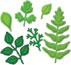Набор ножей для вырубки и эмбоссирования "Foliage" от Spellbinders