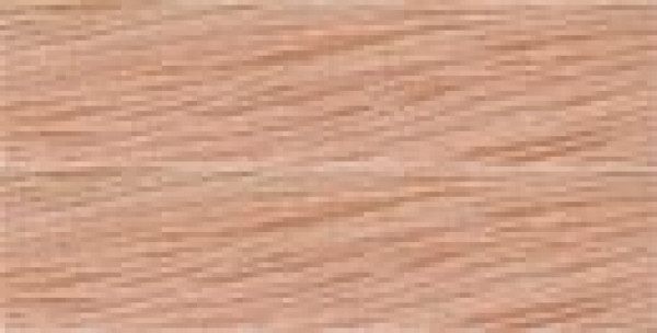 6537.jpg