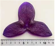 or01 Молд "Цаветок орхидеи", 7 х 11,5 см
