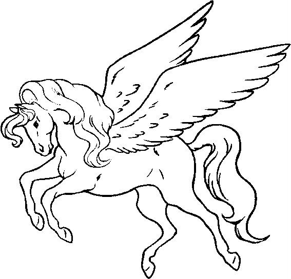 pegasus18.jpg