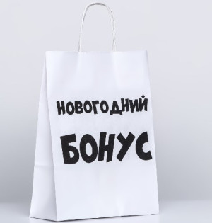 10085887 Пакет "Новогодний бонус", 32х24х10.5см