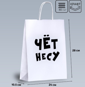 10085884 Пакет крафт «Чёт несу», 24×14×28см