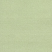 PST-44 Кардсток двустор. текстур., фисташковое мороженое, 30.5x30.5см, 216 г/м2