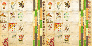 Набор карточек для декорирования "Botany autumn"  от Фабрика Декору 