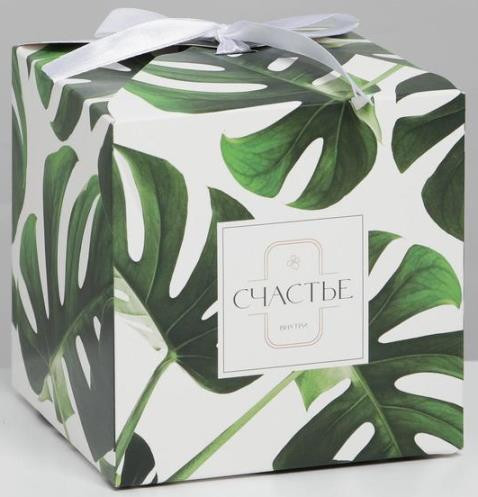 7007568 Коробка складная «Green», 12×12×12см