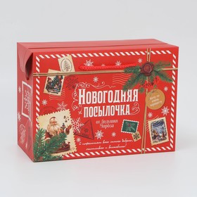9543843 Пакет‒коробка «Посылочка», 28×20×13см
