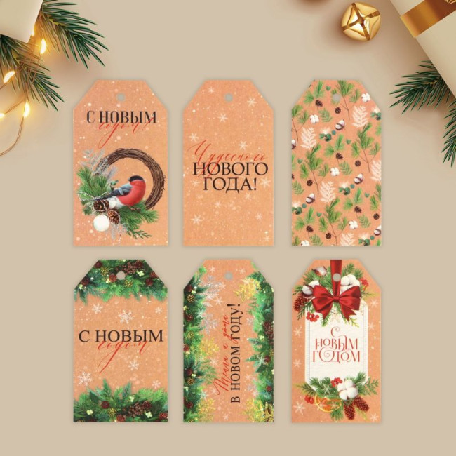 9799612 Шильдик новогодний декоративный в наборе «Время чудес», 6 шт., 5 х 9 см
