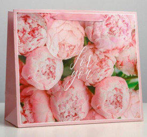 4725092 Пакет подарочный For you, 27×23×11.5см