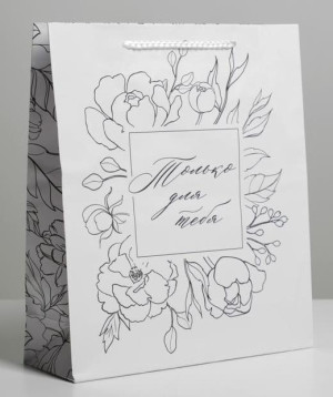 6582643 Пакет подарочный "Только для тебя", 21×25×8см