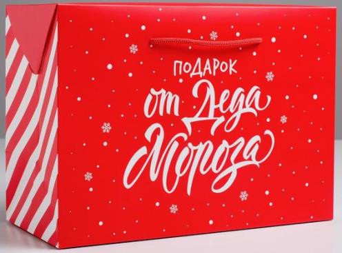 4922094 Пакет-коробка «Подарок», 28×20×13см